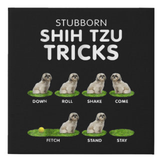 Shih Tzu Lover | Funny Shih Tzu Trick Dog Love Faux Canvas Print