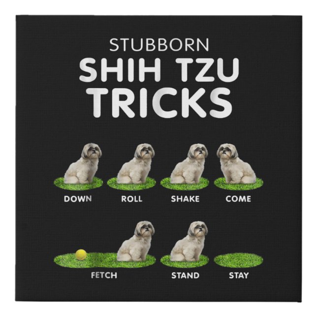 Shih Tzu Lover | Funny Shih Tzu Trick Dog Love Faux Canvas Print (Front)