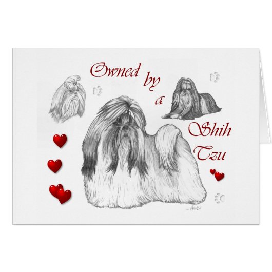 Shih Tzu Lovers Gifts (Front Horizontal)