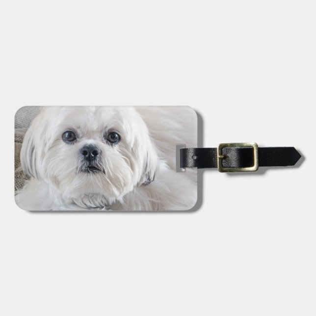 Shih Tzu Luggage Tag (Front Horizontal)