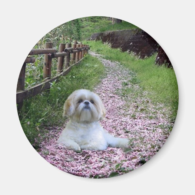 Shih Tzu Magnet Purple Flowers (Front)