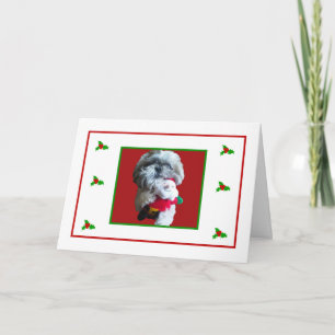 Shih Tzu Merry Christmas Card