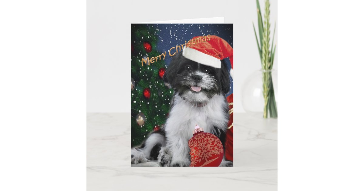 Shih Tzu Merry Christmas Cards | Zazzle.com