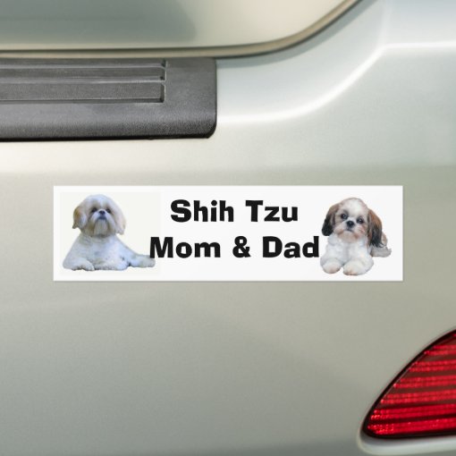 Shih Tzu Mom & Dad Bumper Sticker | Zazzle