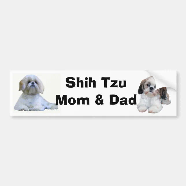 Shih Tzu Mom & Dad Bumper Sticker | Zazzle