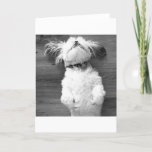 Shih Tzu Nap Card at Zazzle