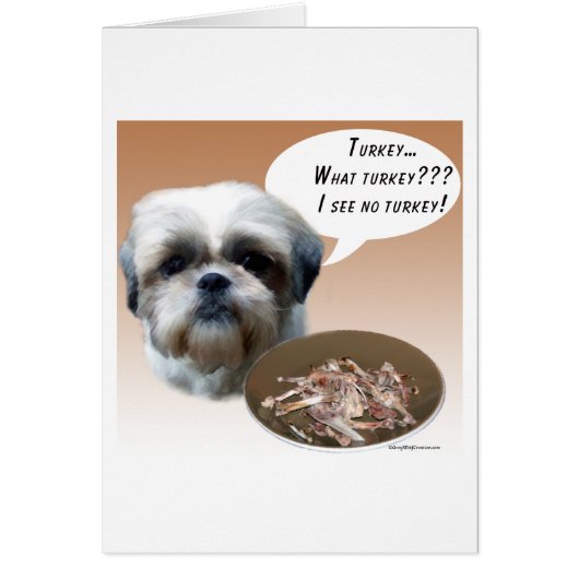 Shih Tzu (natural) Turkey (Front)