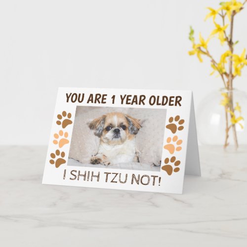 Shih tzu not cute birthday 1 year older Greeting Card