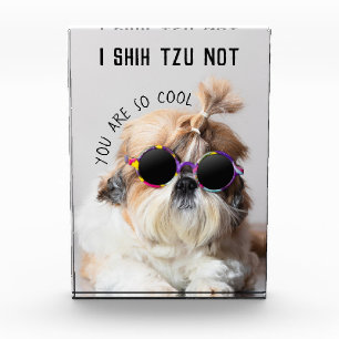 Shih Tzu Not fun cute dog lovers Custom Photo text