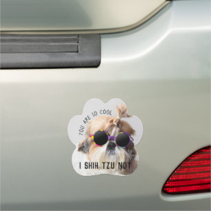 Shih Tzu Not fun cute dog lovers Custom Photo text Car Magnet