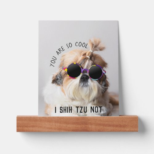 Shih Tzu Not fun cute dog lovers Custom Photo text Picture Ledge