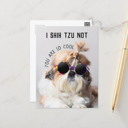 Shih Tzu Not fun cute dog lovers Custom Photo text Postcard