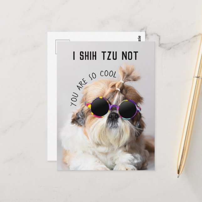 Shih Tzu Not fun cute dog lovers Custom Photo text Postcard (Front/Back In Situ)