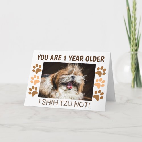 Shih tzu not funny birthday 1 year older Greeting Card