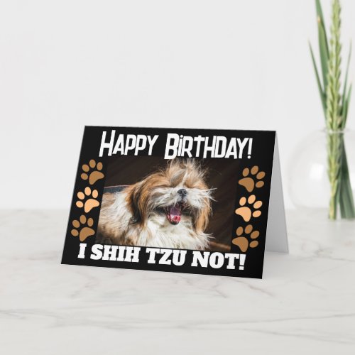 Shih tzu not laughing fun Happy birthday Greeting  Card