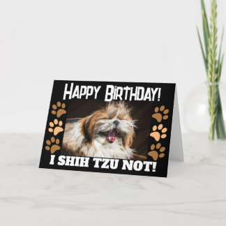 Shih tzu not laughing fun Happy birthday Greeting Card
