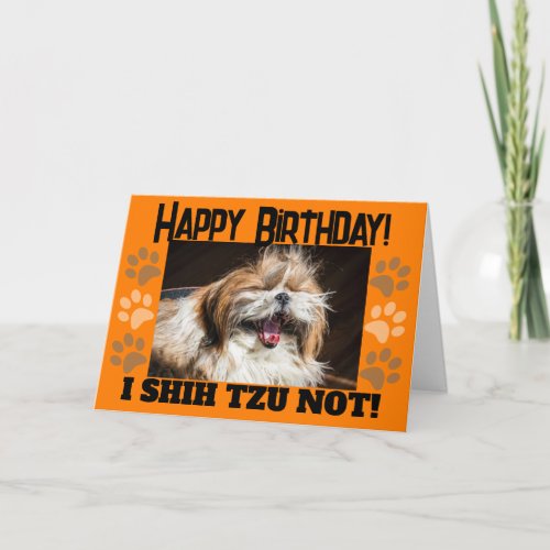 Shih tzu not laughing fun Happy birthday Greeting Card