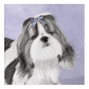 Shih Tzu Painting - Cute Original Dog Art