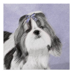 Shih Tzu Painting - Cute Original Dog Art Poster
