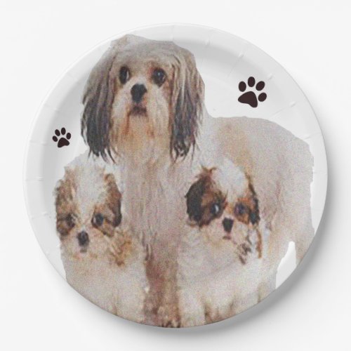 Shih_tzu  paper plates