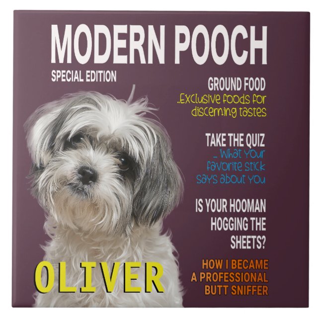 Shih Tzu Parody Magazine Cover  Ceramic Tile (Front)