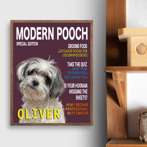 Shih Tzu Parody Magazine Cover  Photo Print