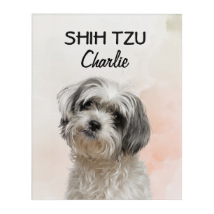 Shih Tzu Personalized Acrylic Print