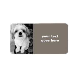 Shih Tzu Personalized Address Labels