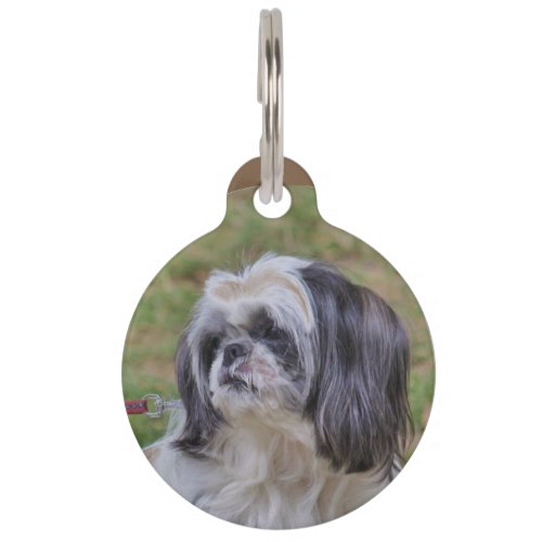 Shih Tzu Pet ID Tag