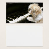Shih Tzu piano lessons (Front & Back)