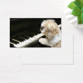 Shih Tzu piano lessons (Desk)