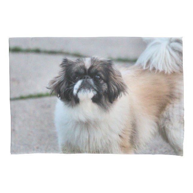 Shih tzu pillow case (Front)