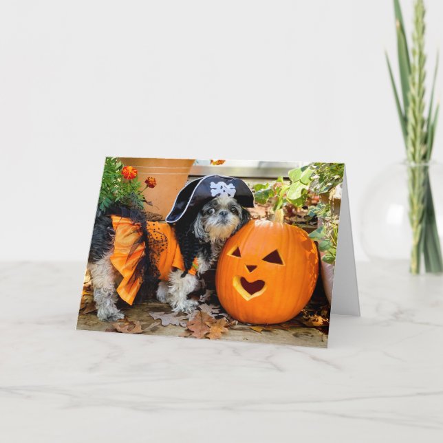 Shih Tzu Pirate Girl Greeting Card (Front)