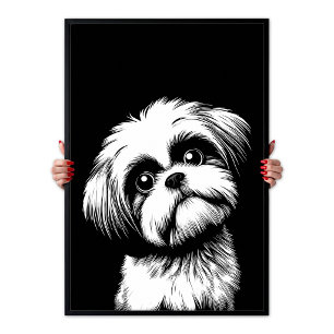 Shih Tzu Pop Art White & Black Chic Aesthetic Poster