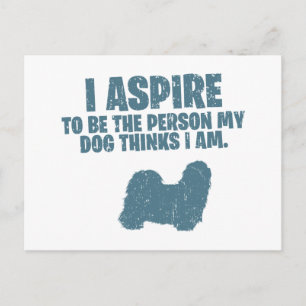 Shih Tzu Postcard