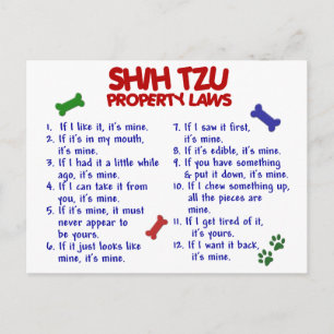 SHIH TZU Property Laws 2 Postcard