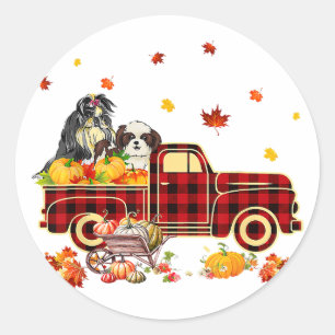Shih Tzu Pumpkin Truck Fall Leaf Thanksgiving Classic Round Sticker