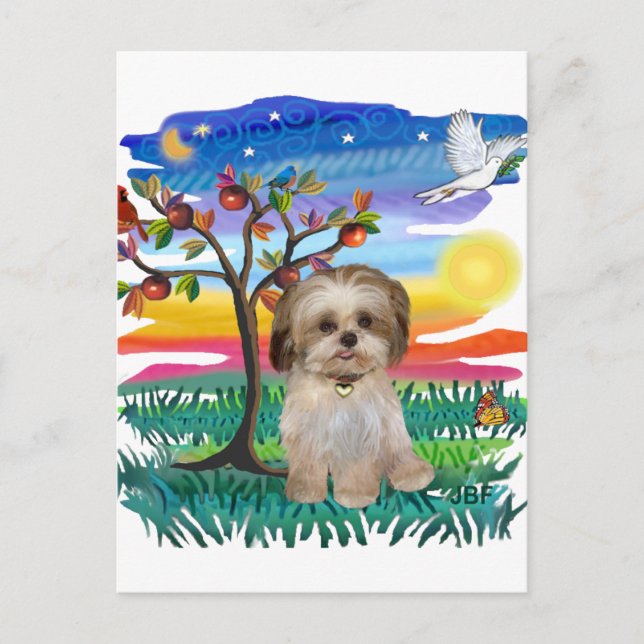 Shih Tzu Pup #2 Postcard (Front)