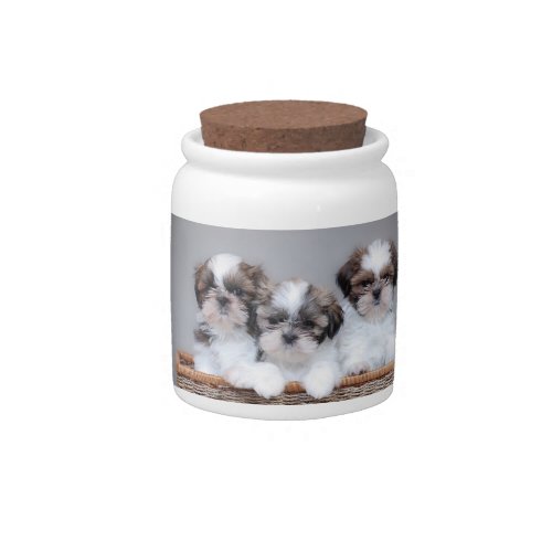 Shih Tzu puppies Candy Jar