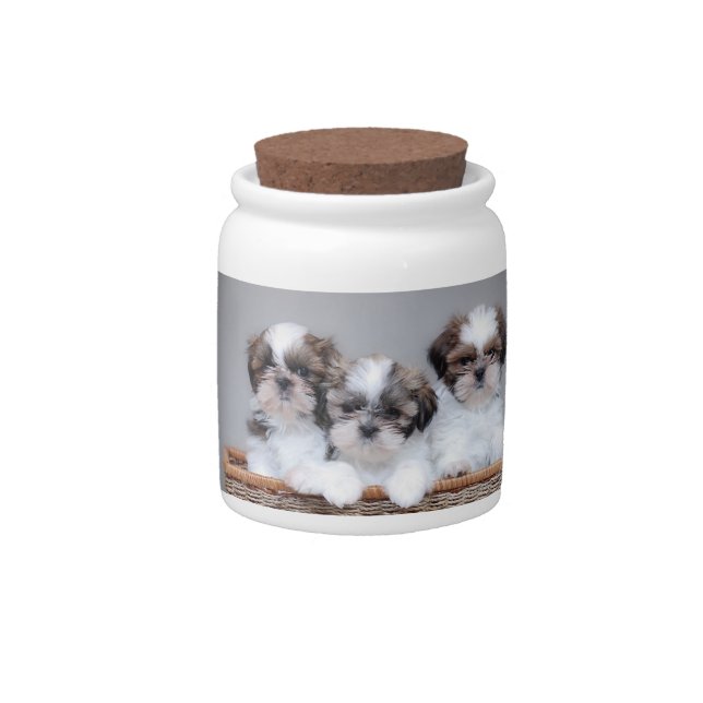 Shih Tzu puppies Candy Jar (Front)