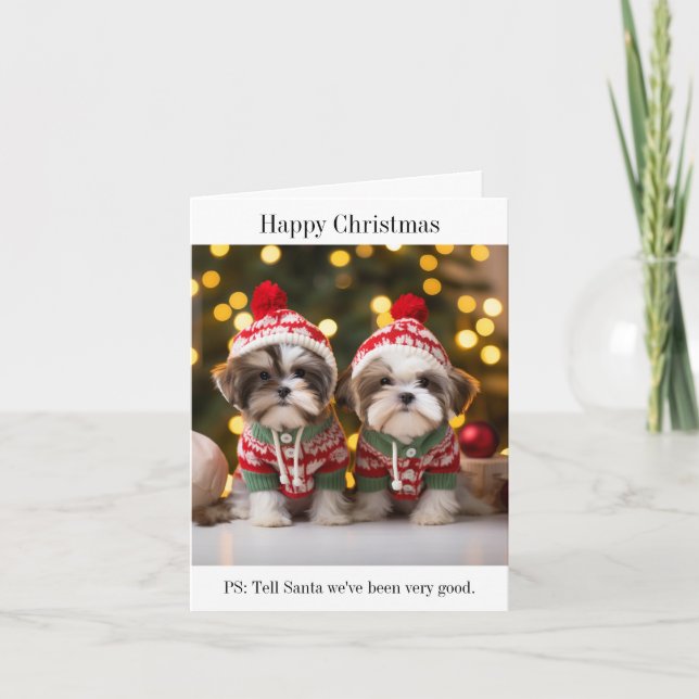 Shih Tzu Puppies Christmas Card (Front)