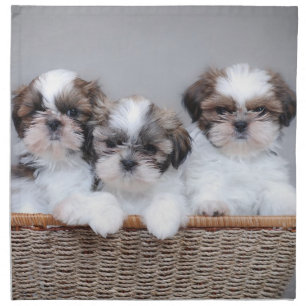 Shih Tzu puppies Cloth Napkin