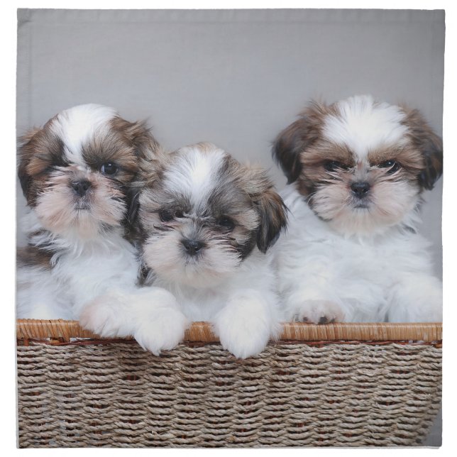 Shih Tzu puppies Cloth Napkin (Front)