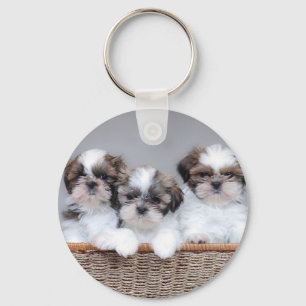 Shih Tzu puppies Keychain