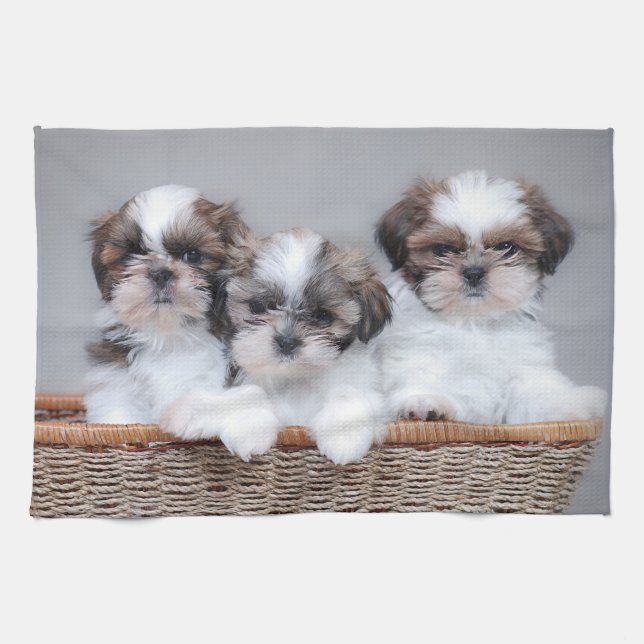 Shih Tzu puppies Kitchen Towel (Horizontal)