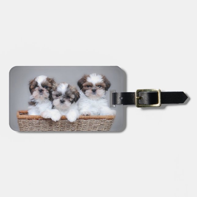 Shih Tzu puppies Luggage Tag (Front Horizontal)
