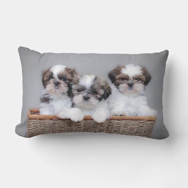 Shih Tzu puppies Lumbar Pillow (Front)