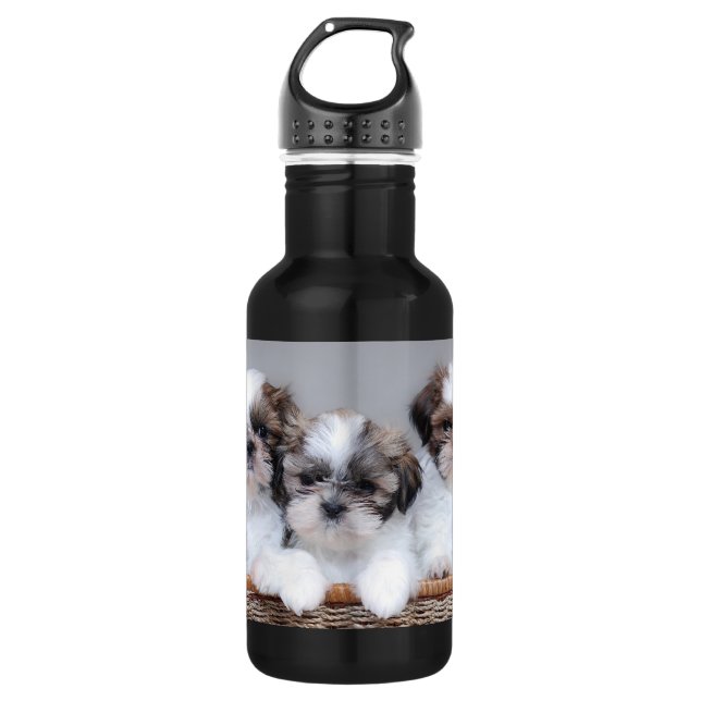 Shih Tzu puppies Stainless Steel Water Bottle (Front)