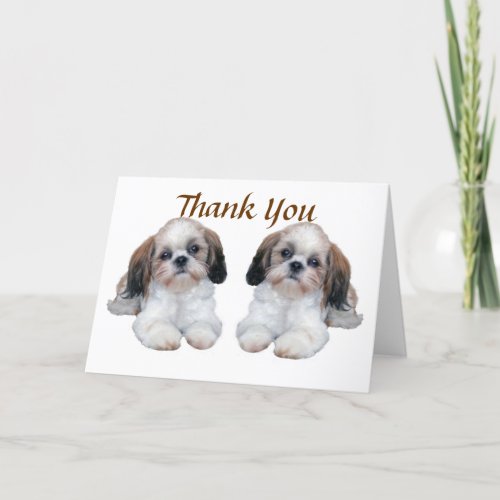 Shih Tzu Puppies Thank You Card