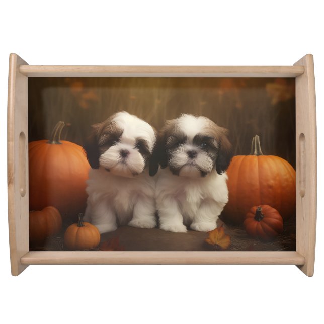 Shih Tzu Puppy Autumn Delight Pumpkin  Serving Tray (Front)